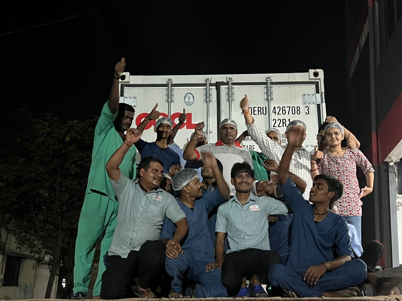 Container Stuffing 3